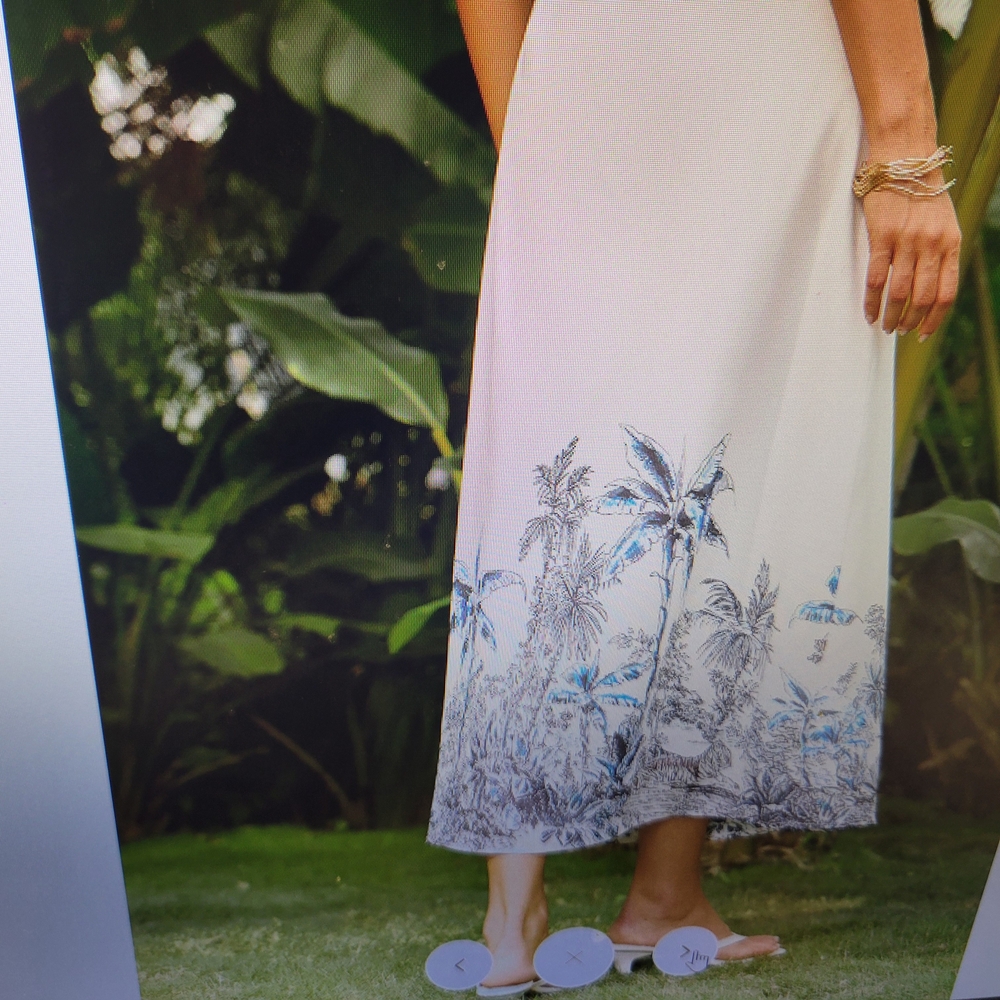 Commense White and Blue Maxi Dress - Picture 8 of 10